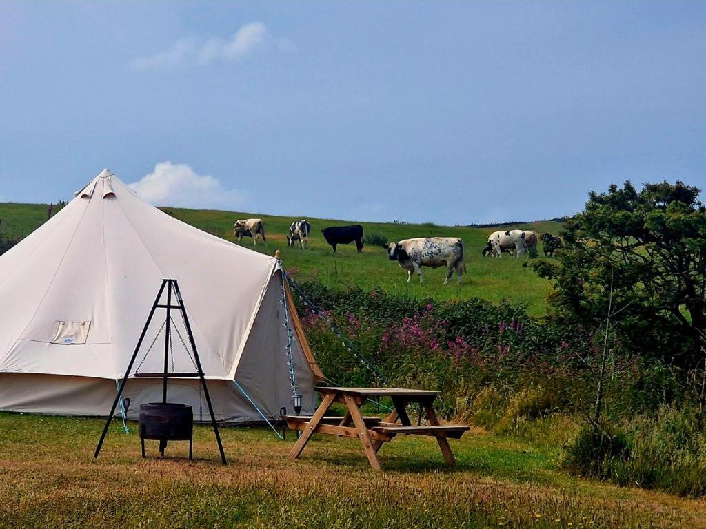 Beautiful 1-Bed Bell Tent In Holyhead Luaran gambar